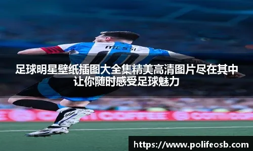 MLB联盟总结年度国际推广成果